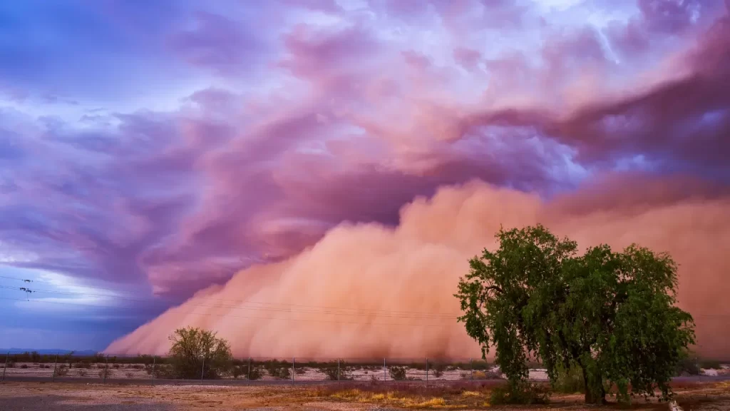 haboob storms