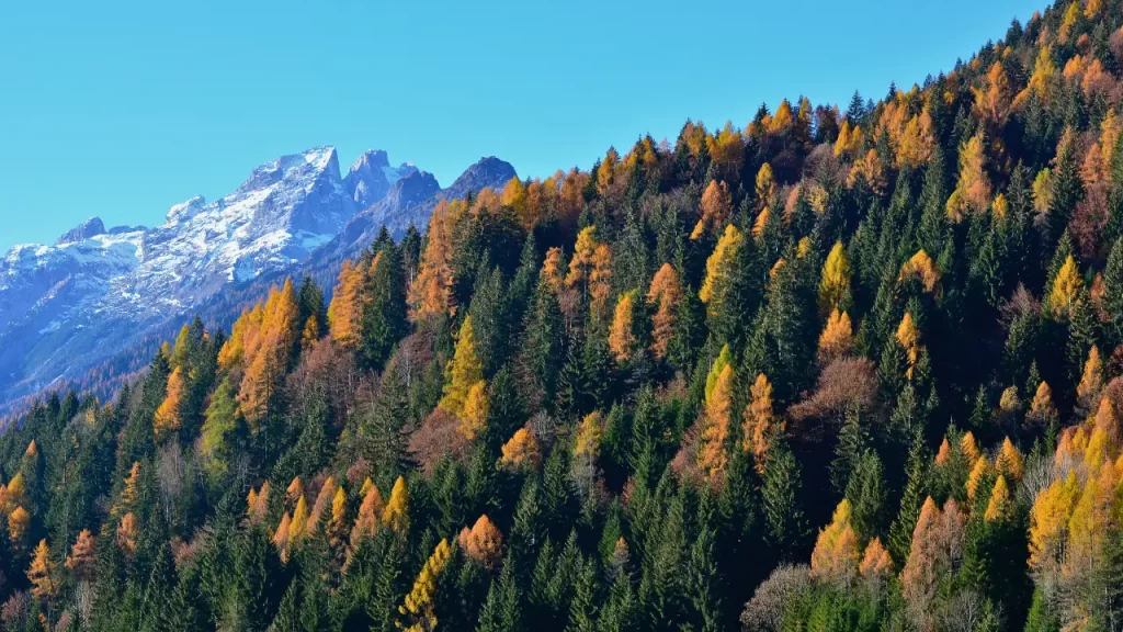 The arrival of autumn