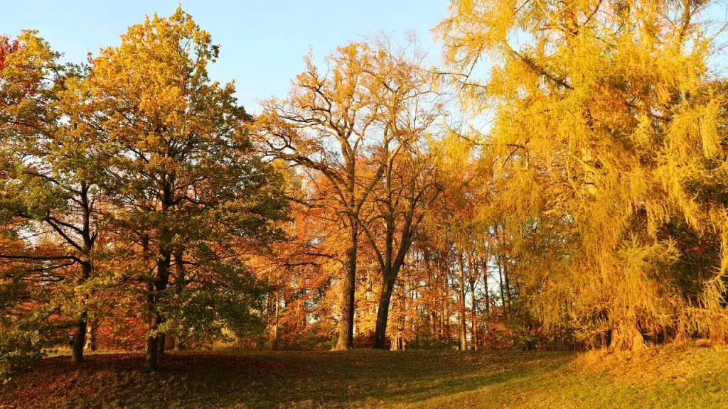 The arrival of autumn