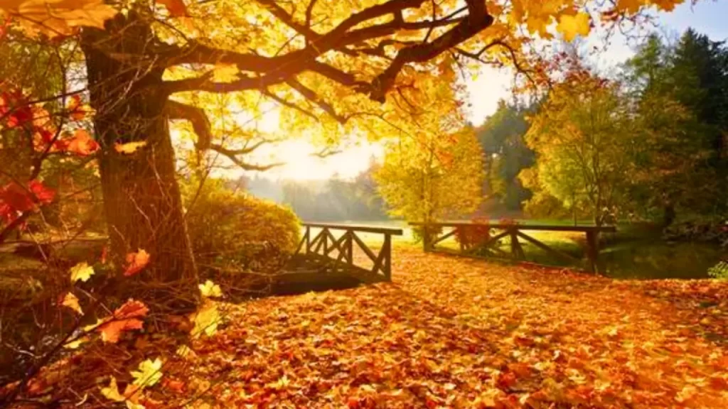 The arrival of autumn