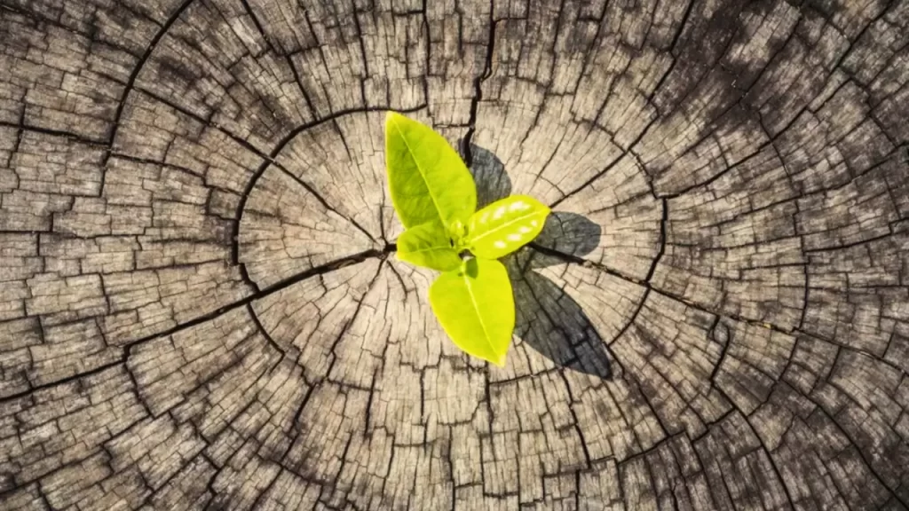 Unbreakable Strength