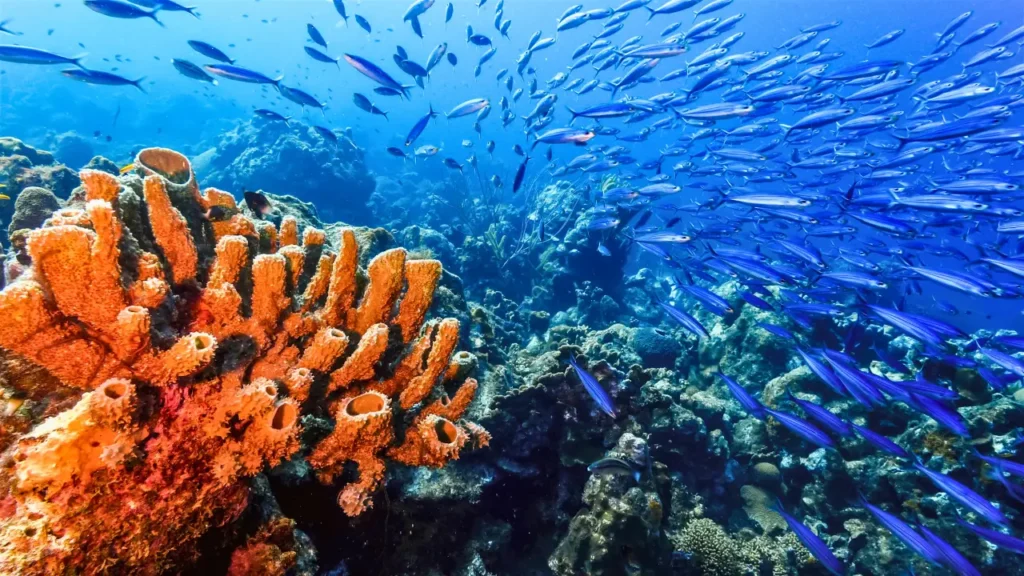 Curaçao guide